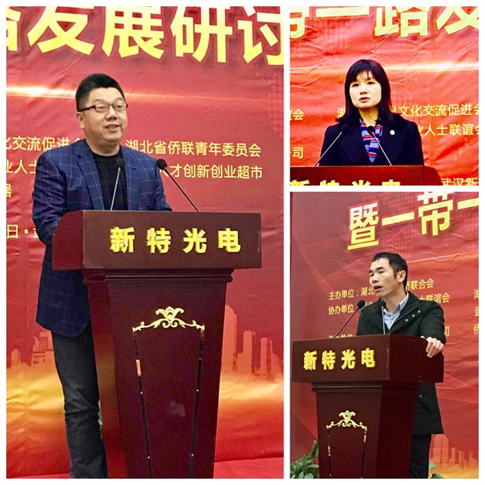 2017湖北省新侨创新创业暨一带一路发展研讨会在新特工业园成功举行
